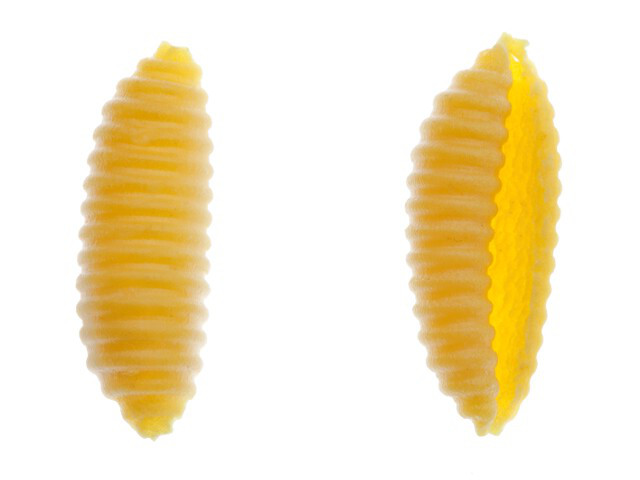Pasta Fresca all